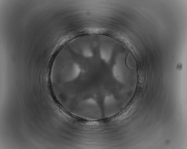 X0000098150357200804171618