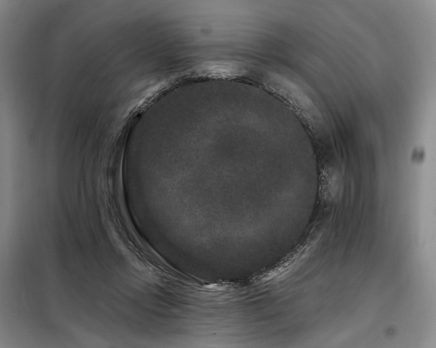 X0000098150358200804171618