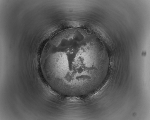 X0000098150359200804171618