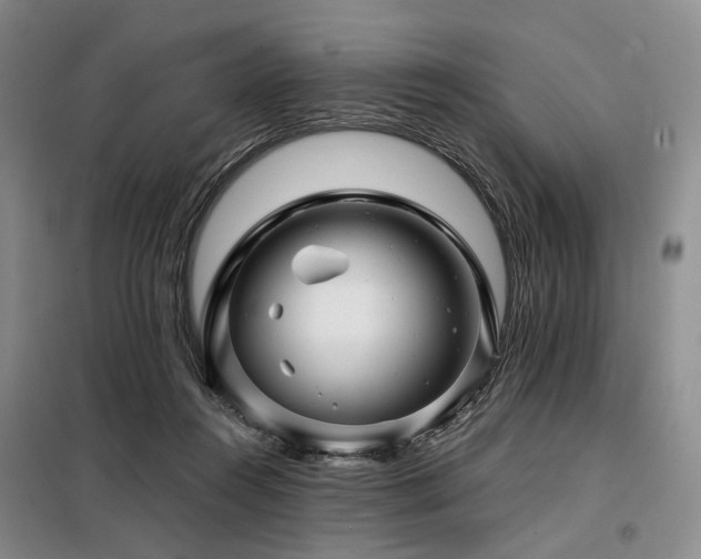 X0000098150360200804171618