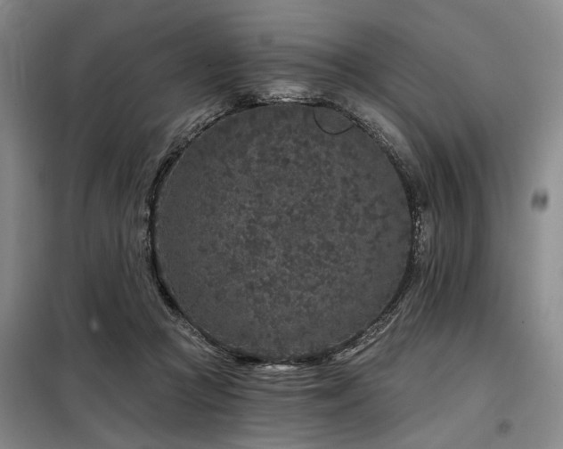X0000098150361200804171618