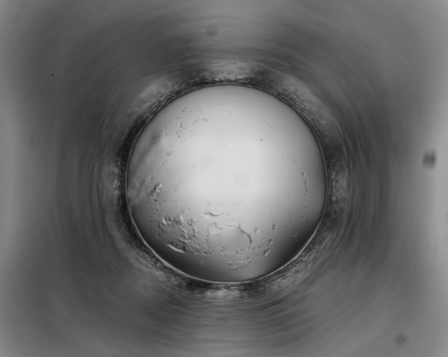 X0000098150362200804171618