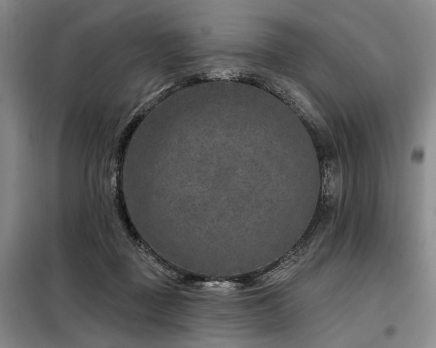 X0000098150363200804171618