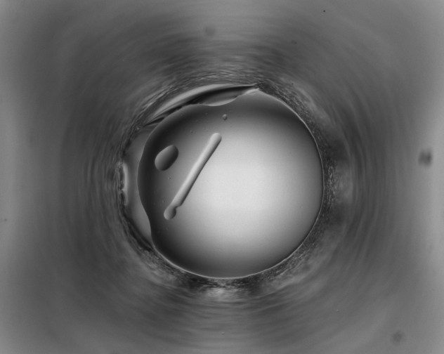 X0000098150364200804171618