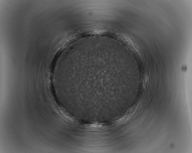 X0000098150366200804171618