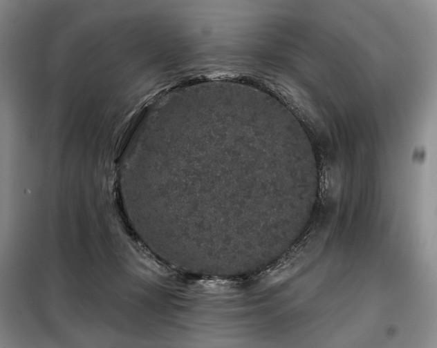 X0000098150367200804171618