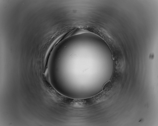 X0000098150368200804171618