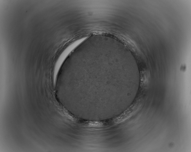X0000098150369200804171618