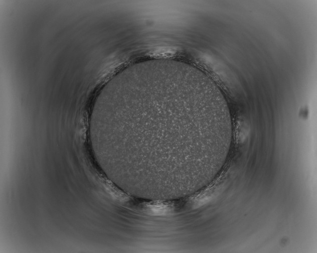 X0000098150370200804171619