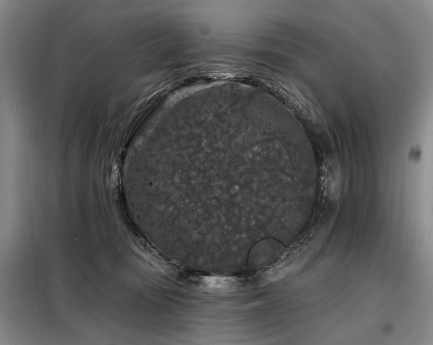 X0000098150371200804171619