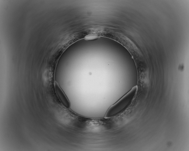 X0000098150372200804171619