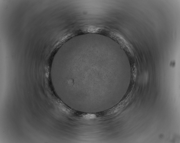 X0000098150374200804171619