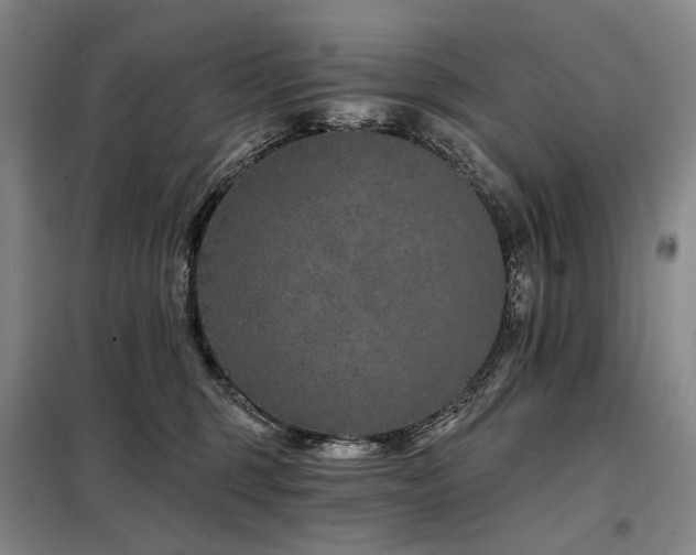 X0000098150375200804171619