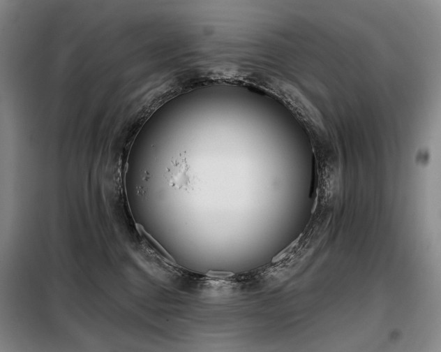 X0000098150376200804171619