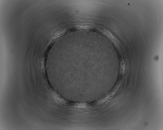 X0000098150377200804171619