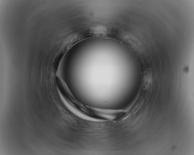 X0000098150379200804171619