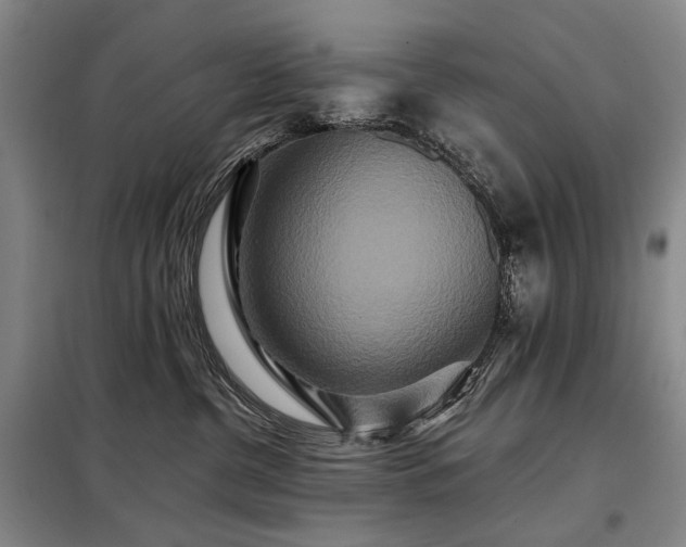 X0000098150380200804171619