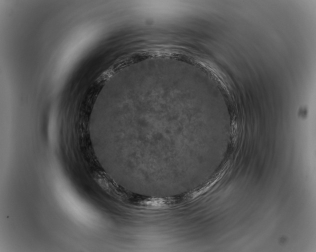 X0000098150381200804171619