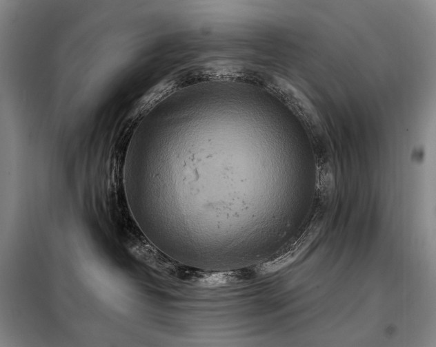 X0000098150382200804171619