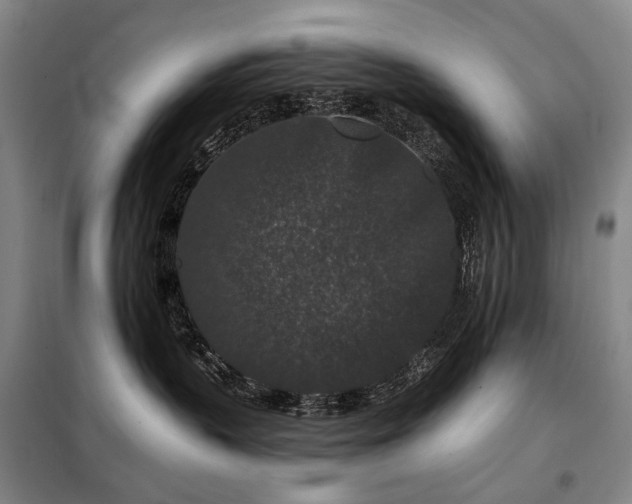 X0000098150383200804171619