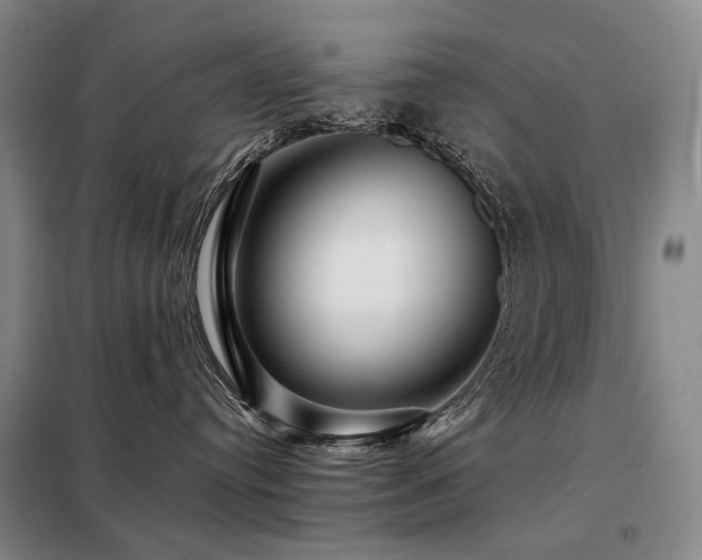 X0000098150384200804171619