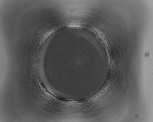 X0000098150385200804171618