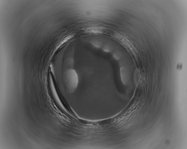 X0000098150386200804171618