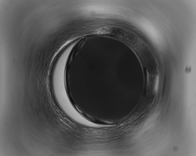 X0000098150387200804171618