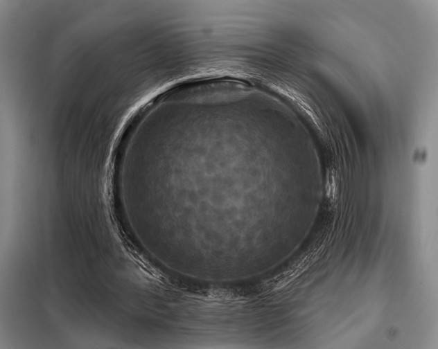 X0000098150388200804171618
