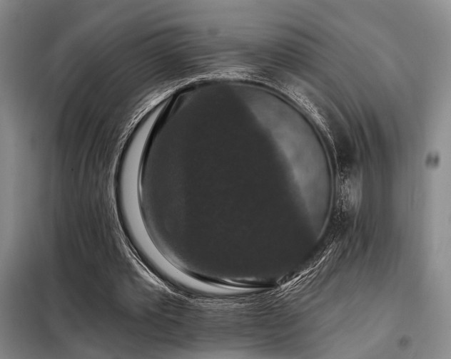 X0000098150389200804171618