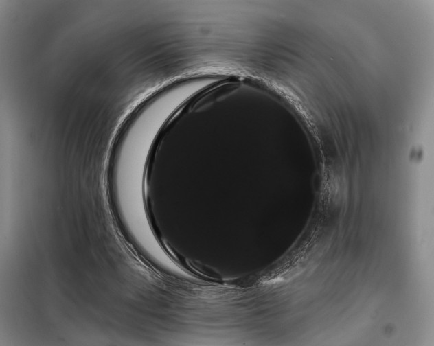 X0000098150391200804171618