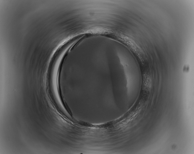 X0000098150392200804171618