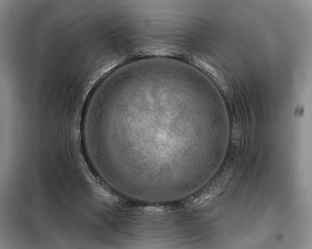 X0000098150394200804171618