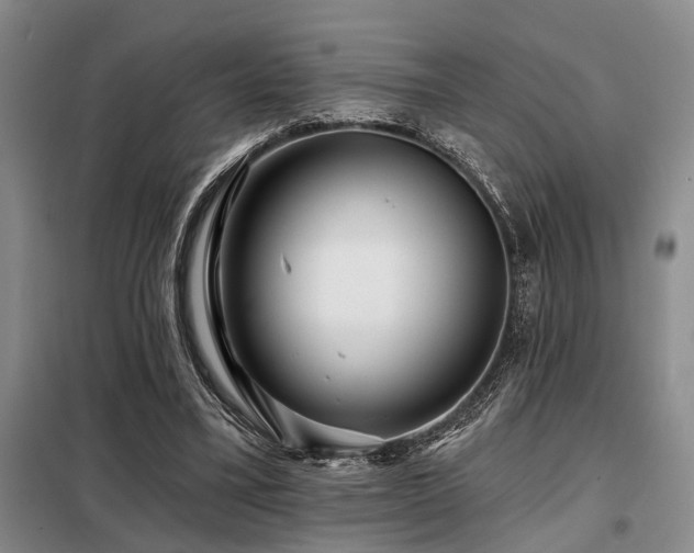X0000098150395200804171618
