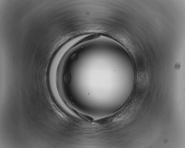 X0000098150397200804171618