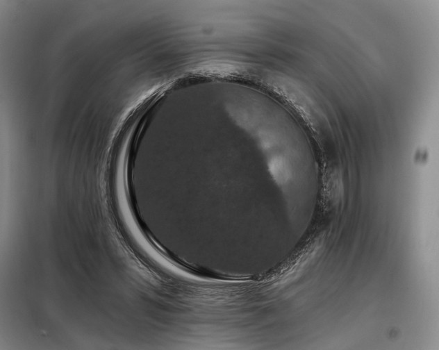 X0000098150399200804171618