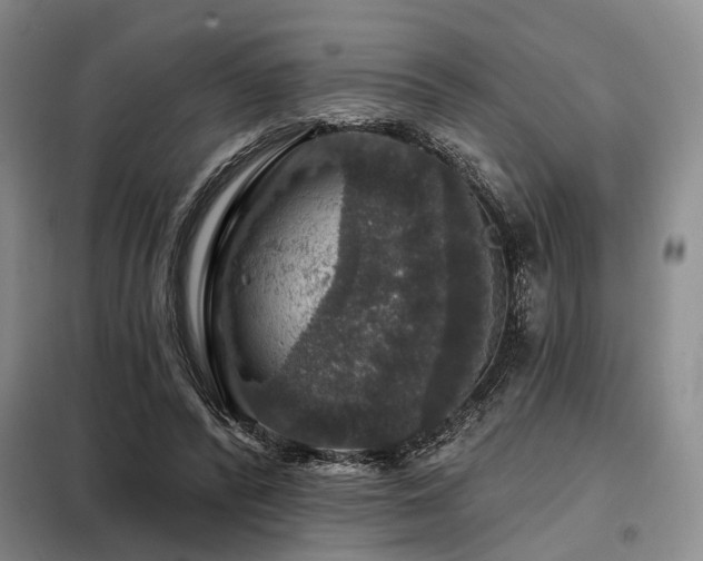 X0000098150400200804171618