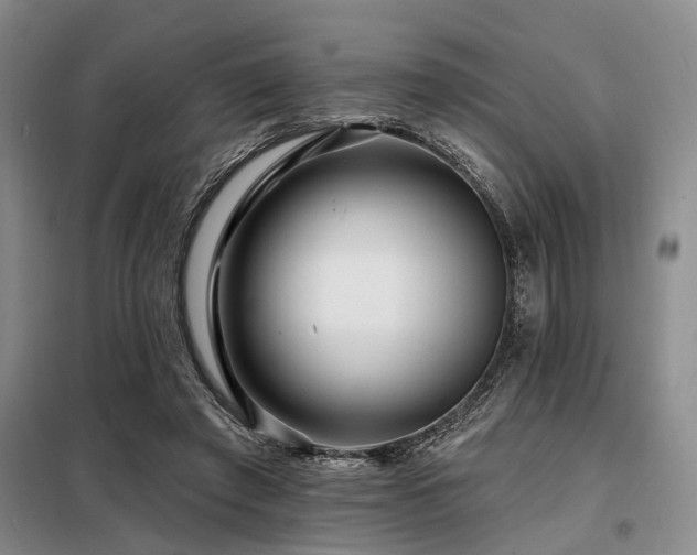 X0000098150401200804171618