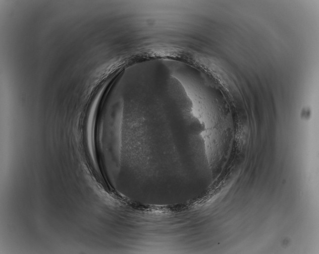 X0000098150402200804171618