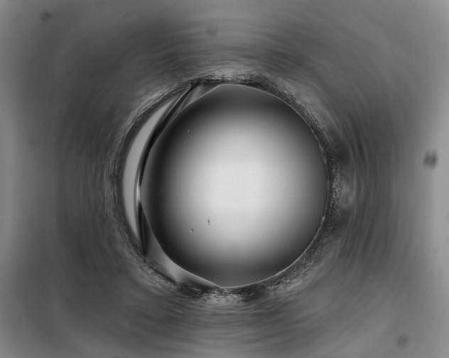 X0000098150403200804171618