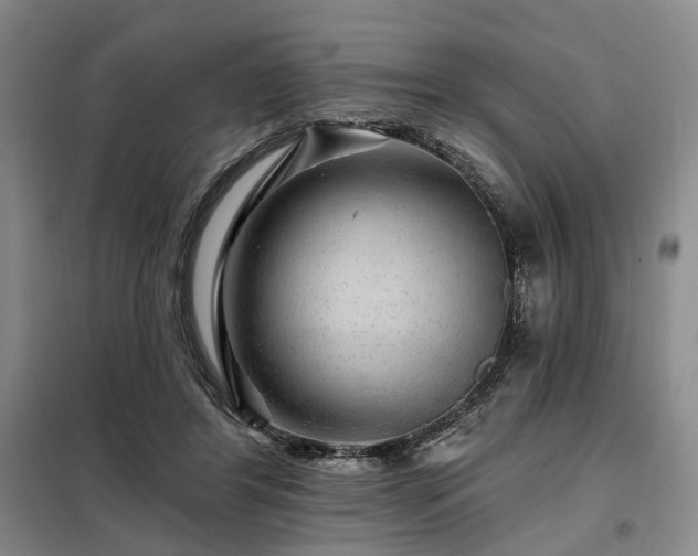 X0000098150404200804171618