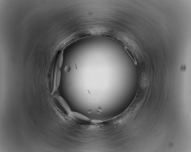 X0000098150405200804171618