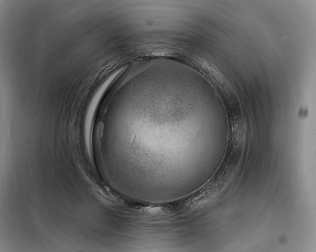 X0000098150406200804171618