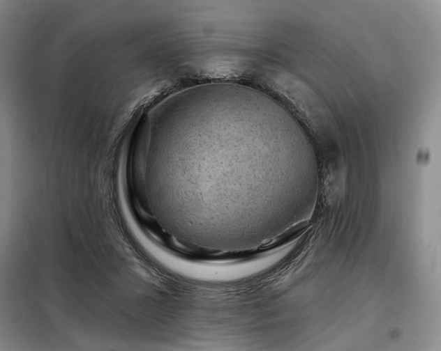 X0000098150407200804171618