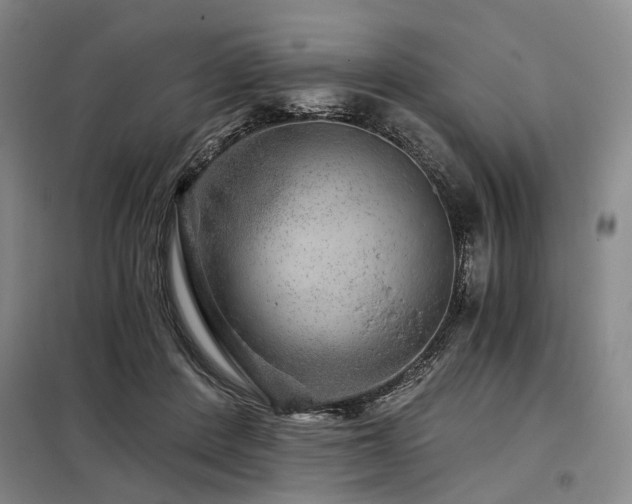 X0000098150408200804171618