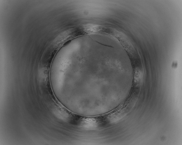 X0000098150409200804171618