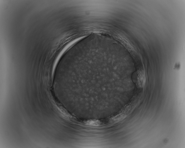 X0000098150410200804171618