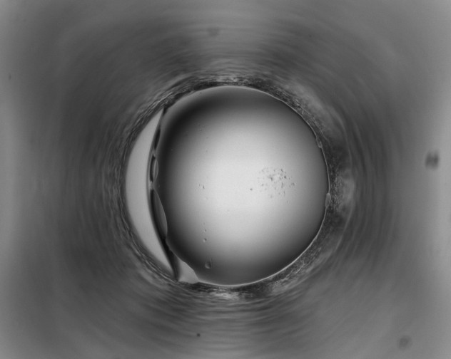 X0000098150413200804171617