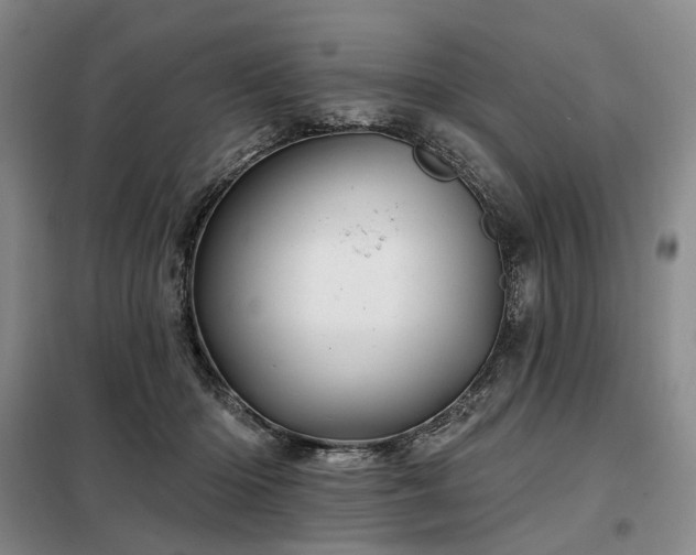 X0000098150414200804171617