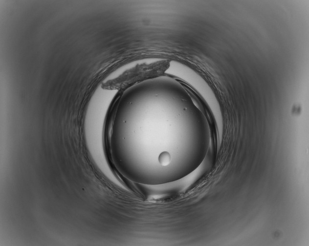 X0000098150415200804171617